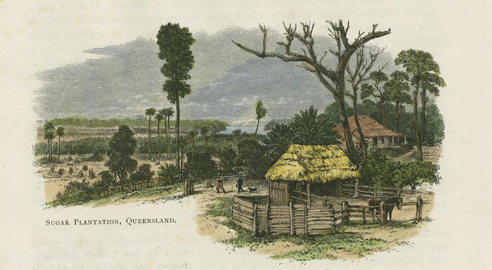 #35: Der Aufstieg des Zuckers: Karriere eines Killers